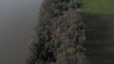 Herbstliche-Weinberge-Am-Flussufer,-Bayon-sur-Gironde,-Frankreich