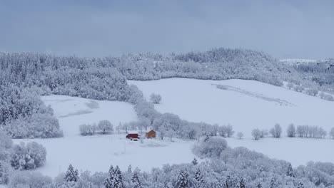 Atemberaubende-Aussicht-Auf-Den-Gefrorenen-Wald-Und-Die-Hütte-In-Der-Winternatur