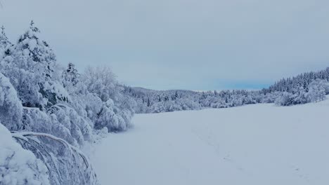 Dense-Snow-Blanket-Over-Mountain-Lake-Forest