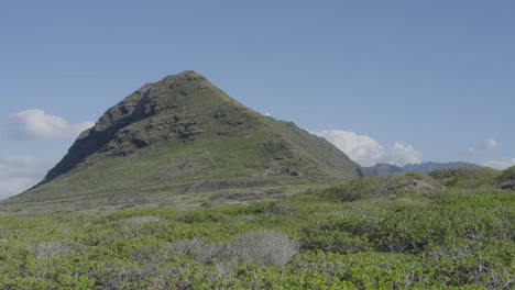 stationary-shot-of-a-pointed-volcanic-mountain-on-Oahu-Hawaii-with-green-lush-filds-in-the-foreground-and-blu-sky-behind