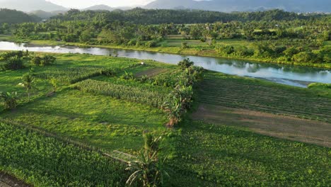 Agriculture-Landscape-With-Cultivated-Farmland-In-Virac,-Catanduanes-Province,-Philippines