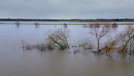 Bäume-Ertrinken-In-überschwemmten-Gebieten-Mit-Hohem-Wasserstand-Und-Überschwemmungen-In-Limburg