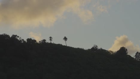 Una-Palmera-Solitaria-Se-Recorta-En-La-Cresta-De-Una-Montaña-Contra-El-Cielo-Azul-Mientras-Las-Nubes-Hinchadas-Se-Deslizan-En-Oahu,-Hawaii