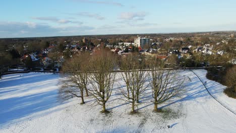 Aerial-of-tall-trees-in-a-snow-covered-park-in-a-rustic-town-on-a-sunny-winter-day