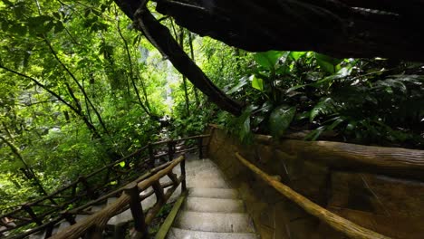 Escaleras-A-Través-De-La-Selva-De-Costa-Rica