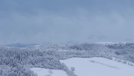 Aerial-Panoramic-View-Of-Snow-Covered-Landscape-With-Trees-Heavily-Laden-With-Snow