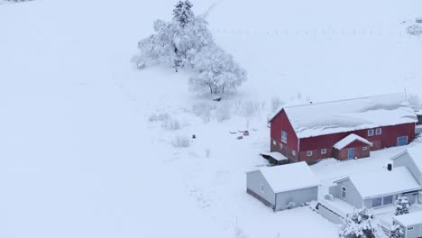 Bird's-Eye-View-Of-A-Barn-House-Building-In-Deep-Snowscape-During-Winter