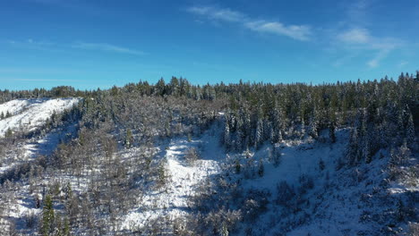 Luftaufnahme-über-Verschneite-Wälder,-Klarer,-Sonniger-Tag-In-Tahoe,-Kalifornien,-USA