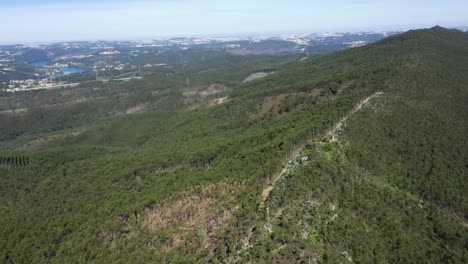 Aerial-pan-across-ridgeline-forested-trail-above-Douro-River-Gondomar-Portugal
