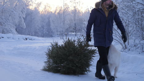 Man-drags-a-Christmas-tree-through-a-snowy-field-with-a-dog