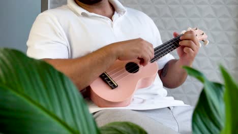 Playing-pink-ukulele-next-to-a-big-window-and-close-to-a-green-plant