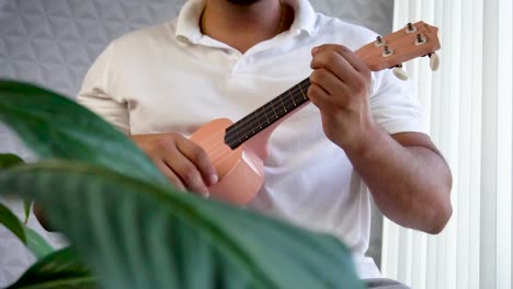 Man-mid-30-and-with-beard-is-playing-and-whistling-with-his-pink-ukulele-next-to-a-big-window-and-close-to-a-green-plant