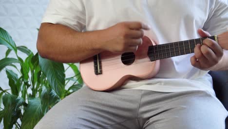 Man-mid-30-and-with-bead-is-playing-and-whistling-with-his-pink-ukulele-next-to-a-big-window-and-close-to-a-green-plant