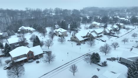 Aerial-shot-of-mansions-in-winter