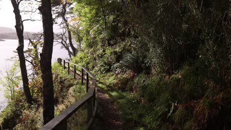 hiking-path-through-lush-vegetation-along-the-seaside-in-Portree-on-Isle-of-Skye,-hIghlands-of-Scotland