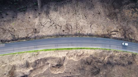 Intact-road-leads-through-destroyed-remains-of-wild-forest-fire,-top-down-aerial