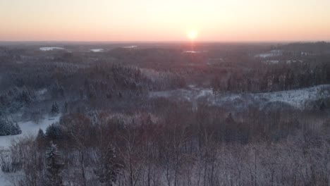 Luz-Del-Atardecer-Sobre-Bosques-Nevados-En-La-Parte-Norte-De-Letonia