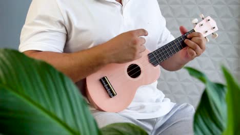 Playing-reggae-with-a-ukulele