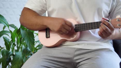 Man-mid-30-and-with-bead-is-playing-and-whistling-with-his-pink-ukulele-next-to-a-big-window-and-close-to-a-green-plant