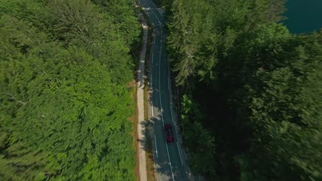 Carretera-Costera-Sobrevuelo-De-Drones-Con-Densa-Vegetación-En-El-Lago-Bohinj,-Eslovenia