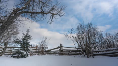 Wide-angle-shot-of-a-serene-snowy-landscape-with-bare-trees-and-a-traditional-wooden-fence,-clear-blue-sky-above,-timelapse