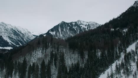 Schneebedeckte-Berge-Mit-Dichtem-Wald-Im-Winter,-Luftaufnahme