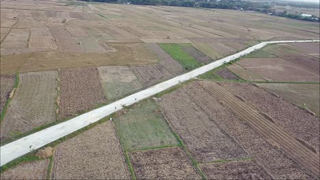 Vista-Por-Drones-De-La-Carretera-A-Través-De-Campos-De-Arroz-Después-De-La-Cosecha-Por-La-Mañana-En-Blora,-Indonesia