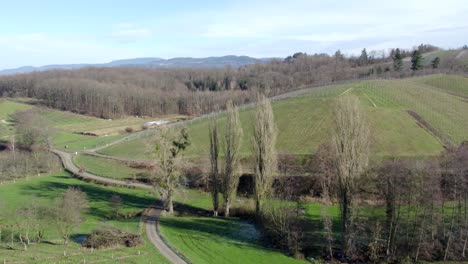 Landschaft-Mit-Hügeln,-Bäumen-Und-Weinbergen,-Ortenaukreis,-Nesselried