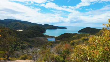 A-panoramic-vista-capturing-the-serene-beauty-of-a-bay-in-Abel-Tasman-National-Park,-where-nature-unfolds-in-breathtaking-coastal-splendor
