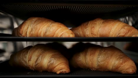 Golden-croissants-on-bakery-tray,-close-up-with-soft-focus,-warm-lighting-gives-a-cozy-bakery-feel,-elevator-shot