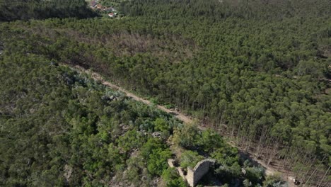 Thin-dirt-road-cuts-across-tall-thin-trees-in-forested-hills-above-Gondomar-Portugal