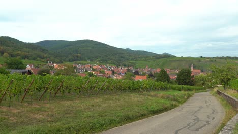 Vineyards-near-Kayserberg-Village-in-Colmar-with-Road-Leading-to-Town-on-a-Gloomy-Autumn-Day