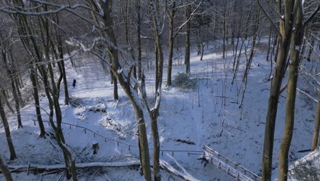 Eine-Einsame-Gestalt-Wandert-Durch-Einen-Ruhigen,-Schneebedeckten-Wald