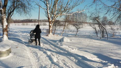 Female-push-baby-carriage-on-snowy-countryside-yard-road,-sunny-winter
