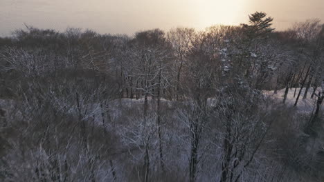 El-Crepúsculo-Desciende-Sobre-Un-Bosque-Cubierto-De-Nieve,-Con-árboles-Desnudos-Que-Proyectan-Sombras-Y-Un-Lago-Al-Fondo-En-Europa