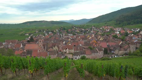 For-centuries-magnificent-Riquewihr-town-has-managed-to-combine-the-quality-of-its-architecture-with-the-quality-of-its-world-famous-wines