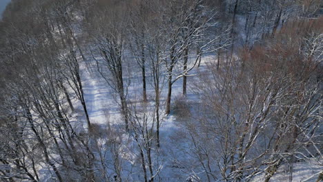 Winter-woodland-from-above,-shadows-stretch-over-snowy-terrain