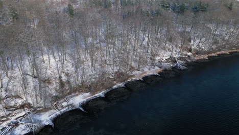 Aerial-view-of-a-serene-snow-kissed-forest-by-a-tranquil-lake-in-winter,-showcasing-nature's-quiet-beauty