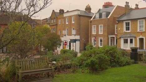 Shot-of-garden-alongside-row-of-town-houses-in-Twickenham,-UK-on-a-cold-winter-day