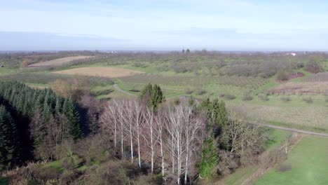 Luftaufnahme-Einer-Malerischen-Landschaft-Mit-Wald,-Hügeln-Und-Apfelbäumen,-Nesselried,-Baden-Württemberg