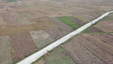 Drone-view-of-road-through-rice-fields-after-harvest-in-the-morning-in-Blora,-Indonesia