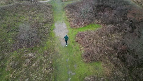 Aerial-view-of-a-person-jogging-on-a-narrow-path-through-winter-heath