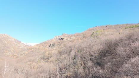 hills-in-the-Balkan-mountains-with-deciduous-trees-that-have-lost-their-foliage-on-a-sunny-winter-day-with-clear-skies