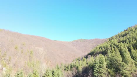 Kiefern-Und-Andere-Nicht-Immergrüne-Bäume-Bedecken-An-Einem-Sonnigen-Wintertag-Mit-Klarem-Himmel-Hügel-Im-Balkangebirge