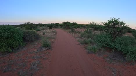 Ein-Zeitsprung-Eines-Fahrzeugs,-Das-Durch-Das-Buschland-Der-Südlichen-Kalahari-Fährt-Und-An-Einer-üppigen,-Mit-Gelben-Blumen-Bedeckten-Savannenlandschaft-Vorbeizieht
