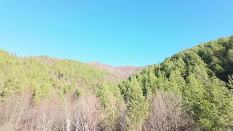 Los-Pinos-Cubren-Colinas-En-Las-Montañas-De-Los-Balcanes-En-Un-Soleado-Día-De-Invierno-Con-Cielos-Despejados.