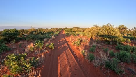 Ein-Zeitsprung-Eines-Safarifahrzeugs-Und-Seines-Schattens,-Das-In-Den-Frühen-Morgenstunden-Durch-Das-Buschland-Der-Südlichen-Kalahar-Fährt,-Eine-üppige-Savannenlandschaft-Zieht-Vorbei
