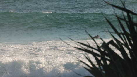 Surfer-paddling-out-over-waves-on-a-sunny-day,-Burleigh-Heads,-Gold-Coast,-Australia