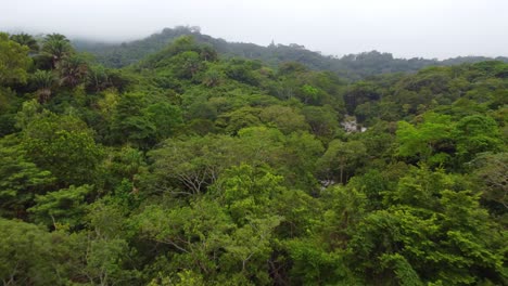 Panoramic-image-of-a-large-vegetation-preservation-area-in-Minca,-Colombia