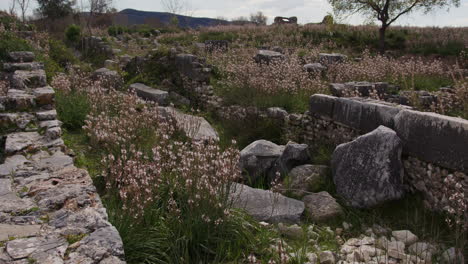 Steinmauern-Im-Feld-In-Milet